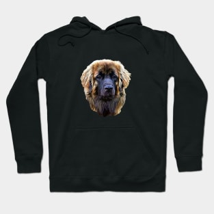 Leonberger Stunning Dog Hoodie